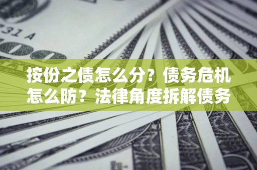 武汉按份之债怎么分？债务危机怎么防？法律角度拆解债务分配与风险自保指南