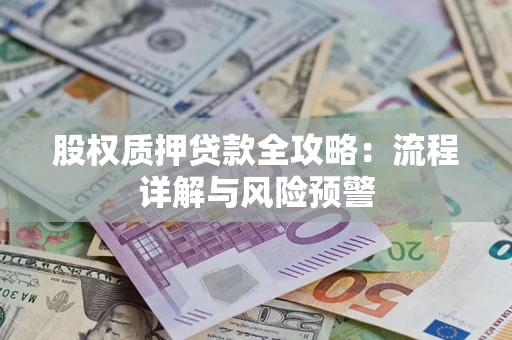 武汉股权质押贷款全攻略：流程详解与风险预警