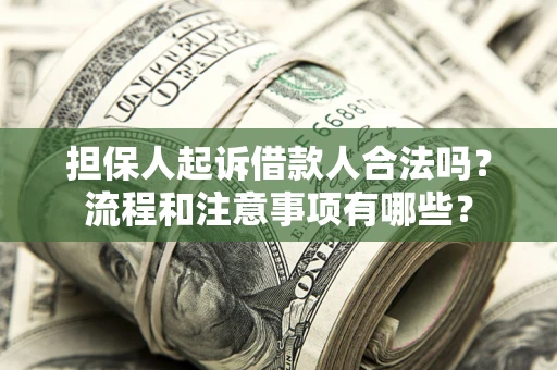 武汉担保人起诉借款人合法吗？流程和注意事项有哪些？