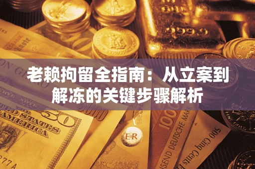 武汉老赖拘留全指南：从立案到解冻的关键步骤解析