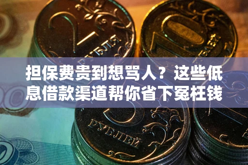 武汉担保费贵到想骂人？这些低息借款渠道帮你省下冤枉钱