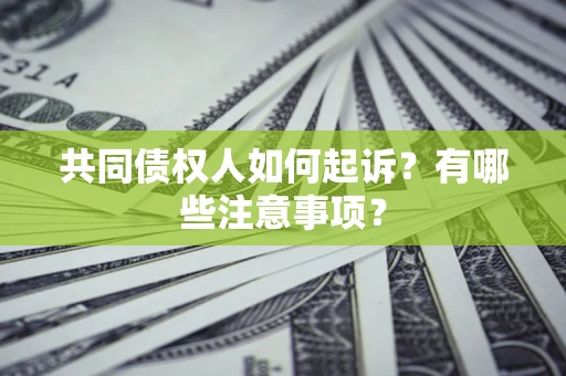 武汉共同债权人如何起诉？有哪些注意事项？