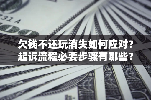 武汉欠钱不还玩消失如何应对？起诉流程必要步骤有哪些？